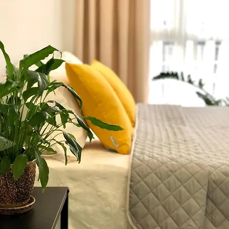 Osapart Comfortable In A Complex Great Britain