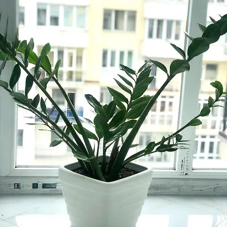 Apartment Osapart Comfortable In A Complex Great Britain