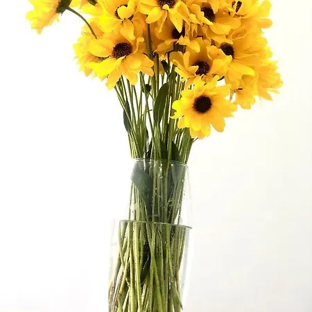 Apartment Osapart Comfortable In A Complex Great Britain