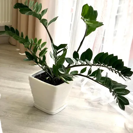 Apartment Osapart Comfortable In A Complex Great Britain *