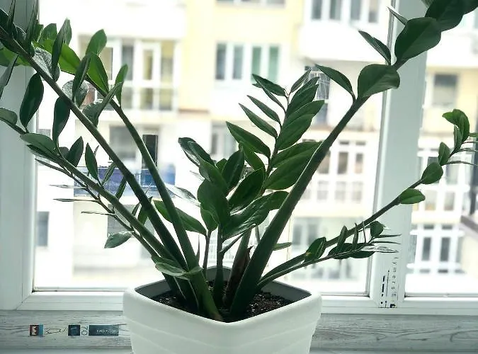 Apartment Osapart Comfortable In A Complex Great Britain