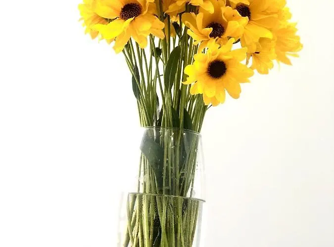 Апартаменты Osapart Comfortable In A Complex Great Britain