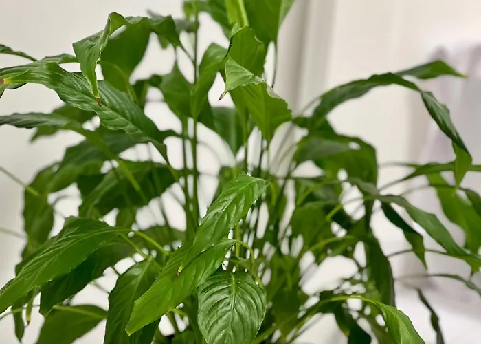 Osapart Comfortable In A Complex Great Britain Apartment