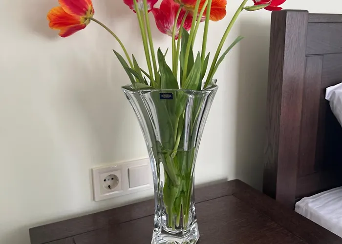 Osapart Comfortable In A Complex Great Britain