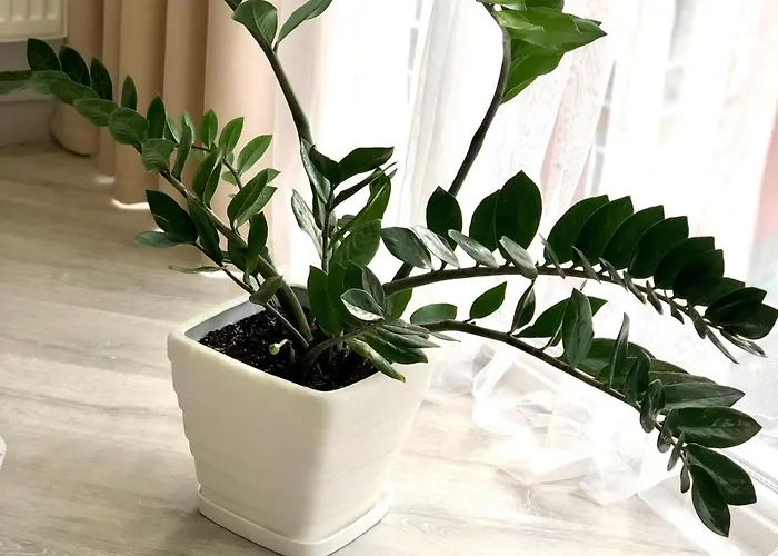 Апартаменты Osapart Comfortable In A Complex Great Britain *