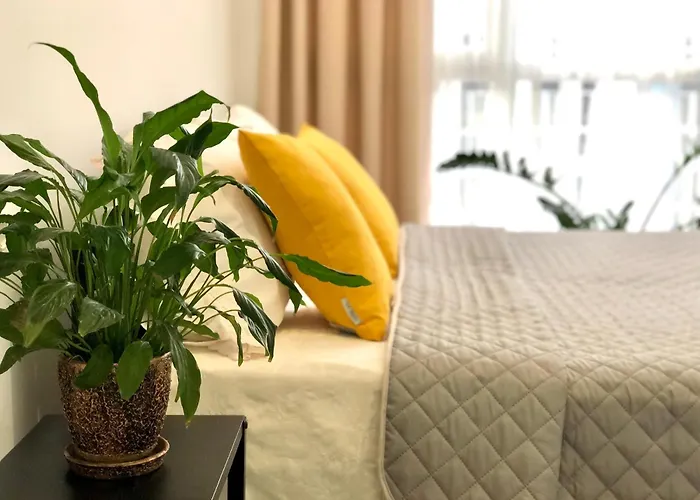 Osapart Comfortable In A Complex Great Britain