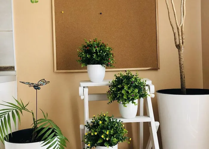 Osapart Comfortable In A Complex Great Britain Апартаменты Львов