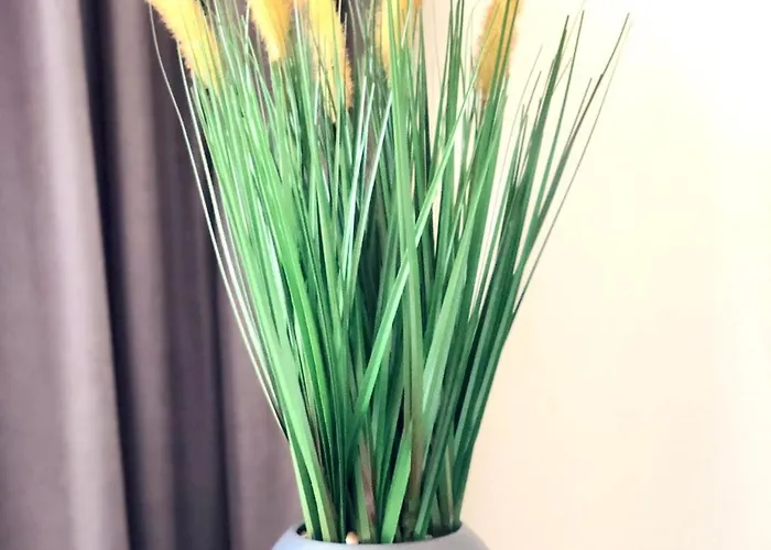 Apartman Osapart Comfortable In A Complex Great Britain Lviv