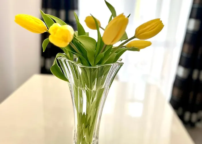 Osapart Comfortable In A Complex Great Britain Apartment Lemberg