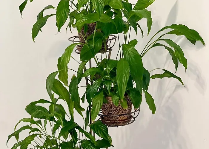 Apartment Osapart Comfortable In A Complex Great Britain